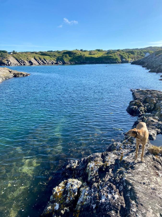 Camping Harbour Goleen